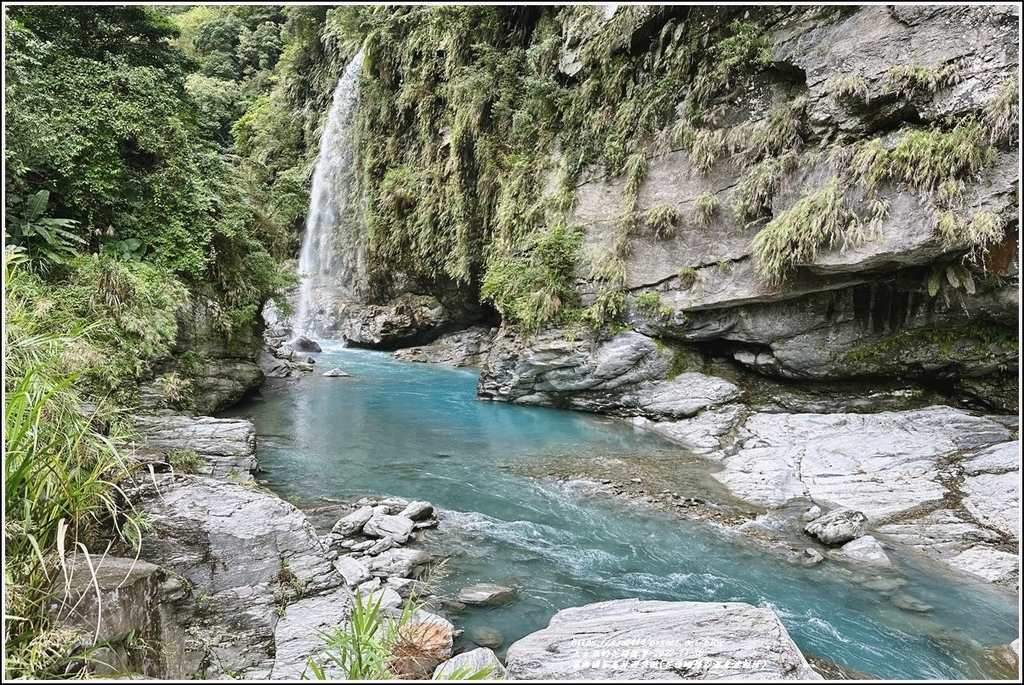 蝴蝶谷~富源森林~龍吟吊橋~富源吊橋＊~理想中的星巴克